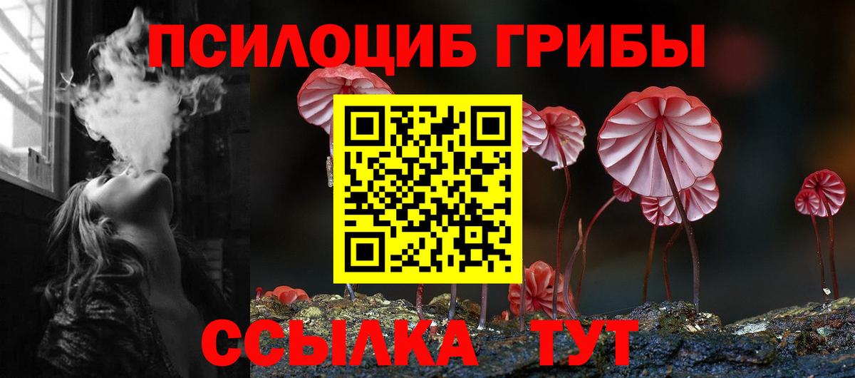 Саяногорск  Галлюциногенные грибы MAGIC MUSHROOMS  Вход с VPN 